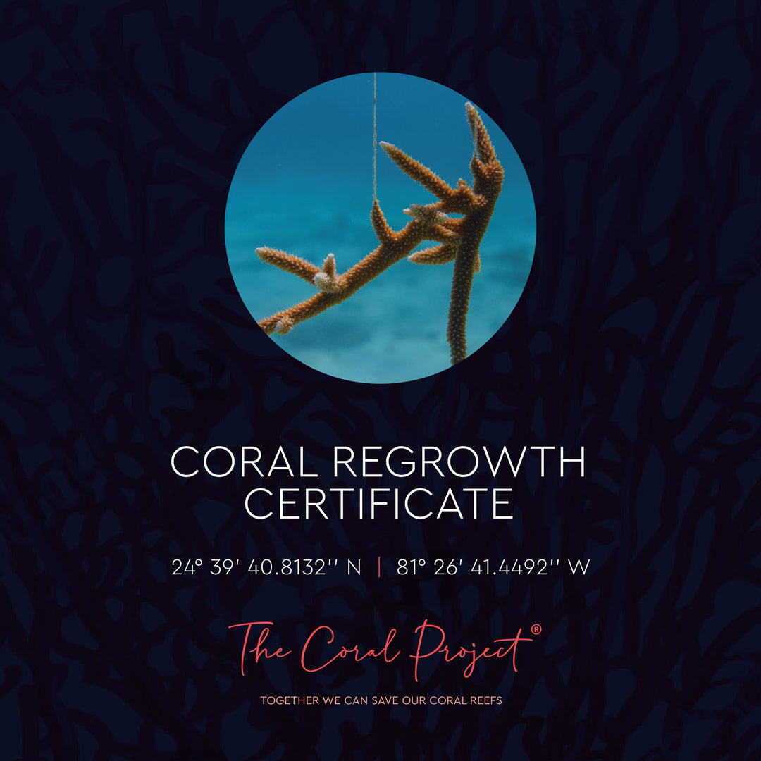 The Coral Project Bracelet